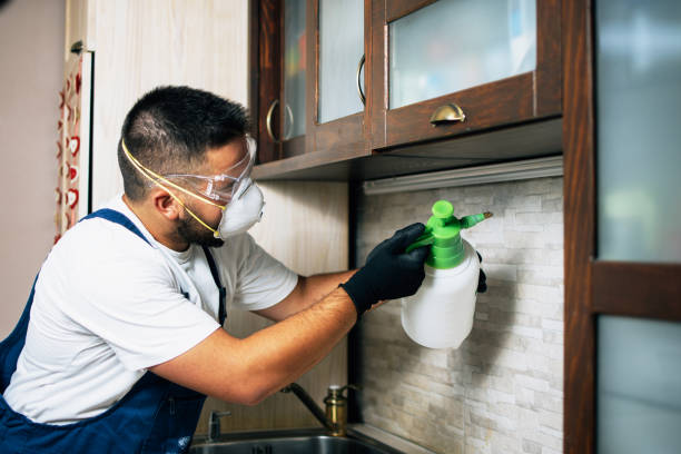 Best Pest Prevention Services  in Cortland, OH