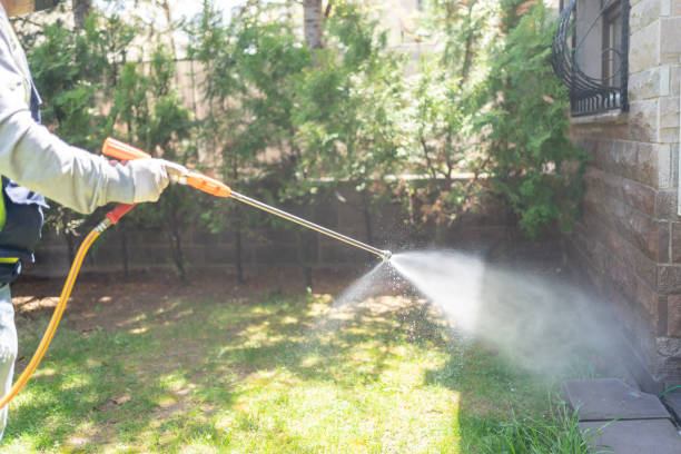 Best Residential Pest Control  in Cortland, OH
