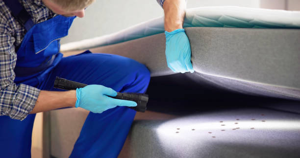 Professional Pest Control in Cortland, OH