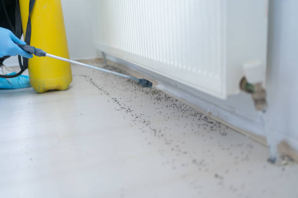 Best Mosquito Control Services  in Cortland, OH