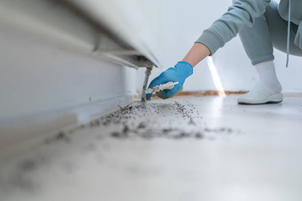 Best Emergency Pest Control  in Cortland, OH