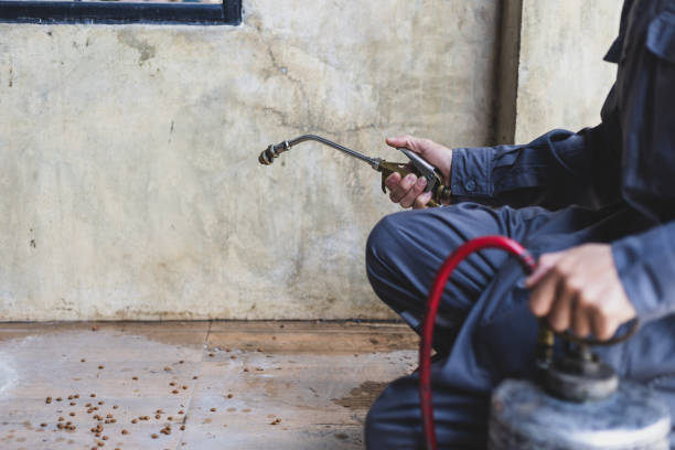 Best Local Pest Control Services  in Cortland, OH